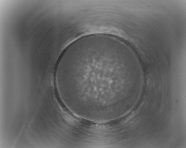 X0000075831505200609151225