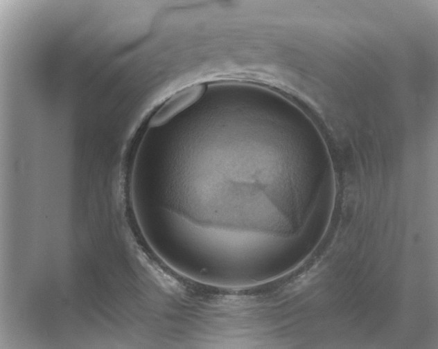 X0000075831506200609151225