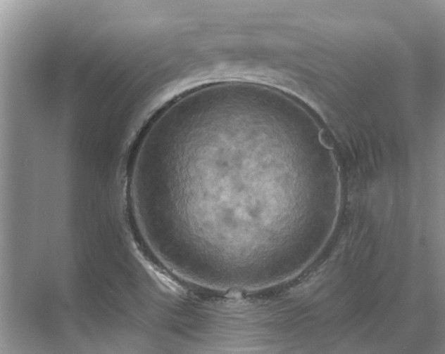 X0000075831507200609151225