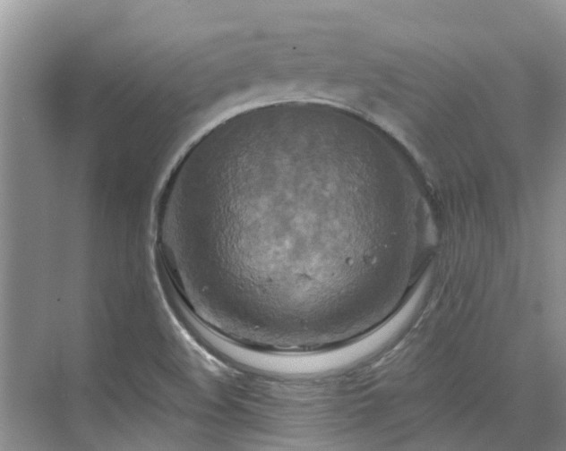 X0000075831508200609151225