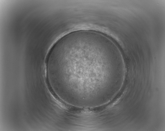 X0000075831509200609151225