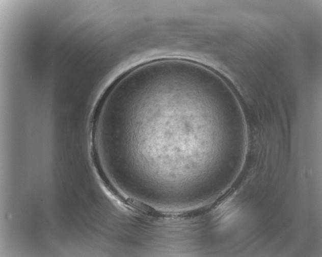 X0000075831511200609151225