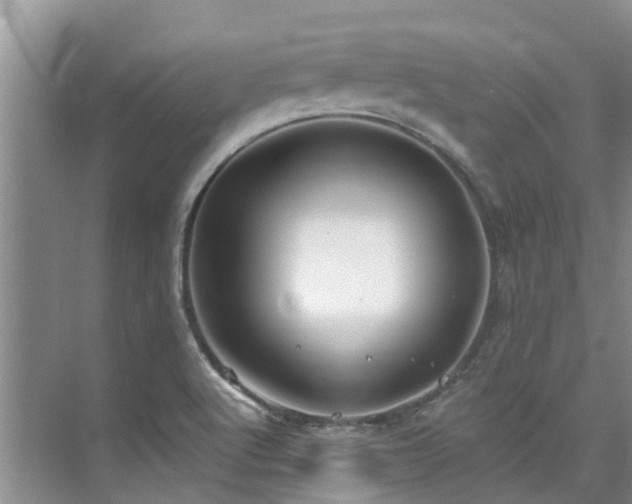 X0000075831512200609151225