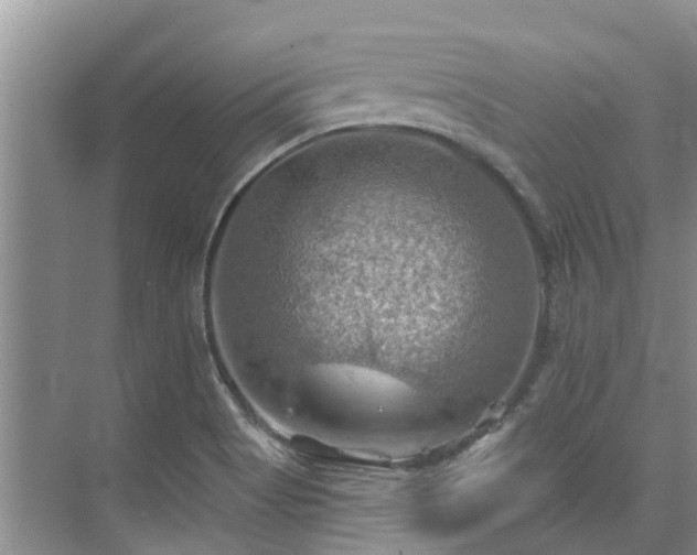 X0000075831513200609151225