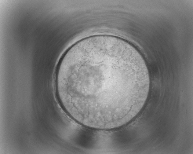 X0000075831514200609151225