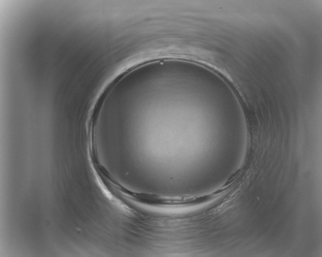 X0000075831515200609151225