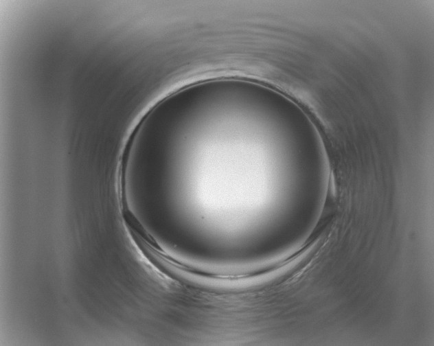 X0000075831516200609151225