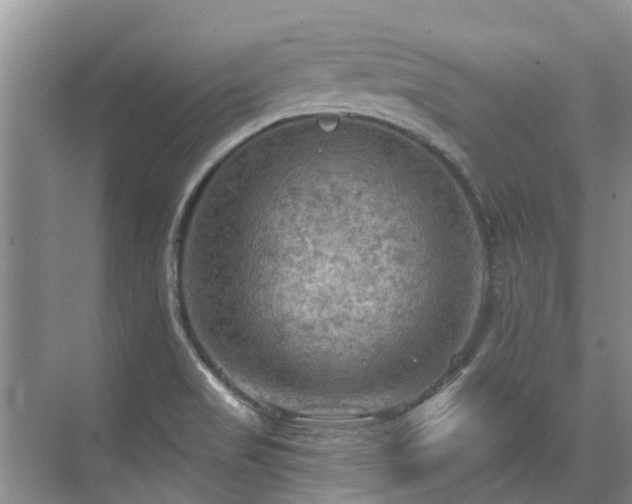 X0000075831517200609151225