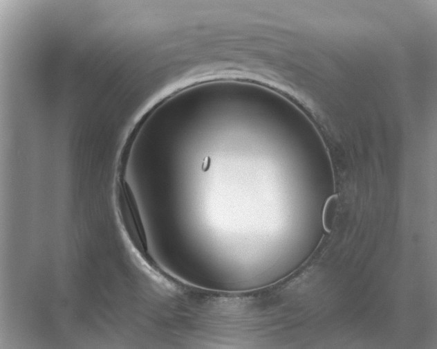 X0000075831518200609151225