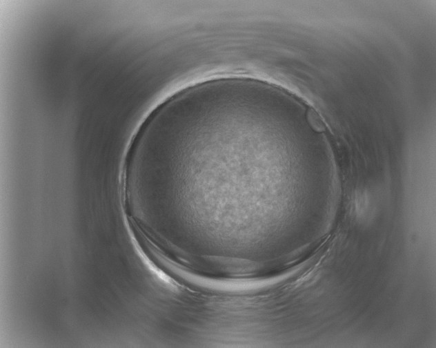 X0000075831519200609151225