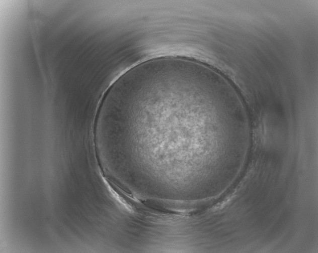 X0000075831521200609151225