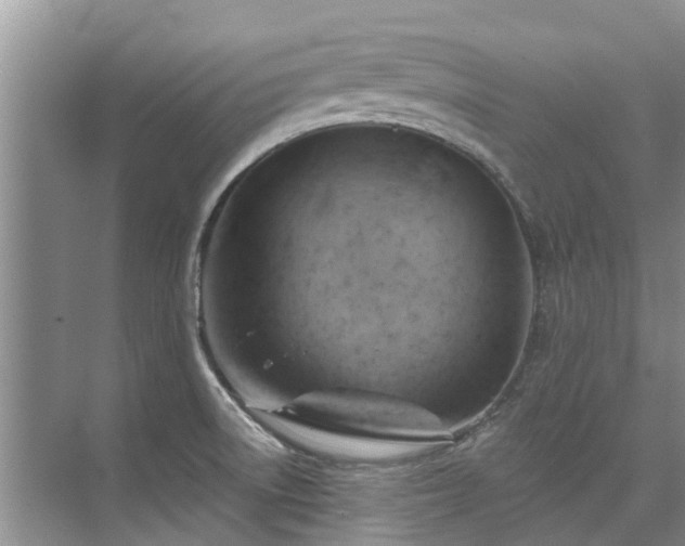 X0000075831522200609151225