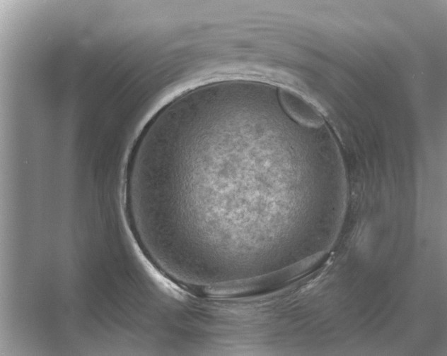 X0000075831523200609151225