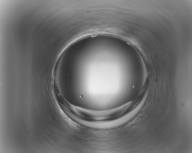 X0000075831524200609151225