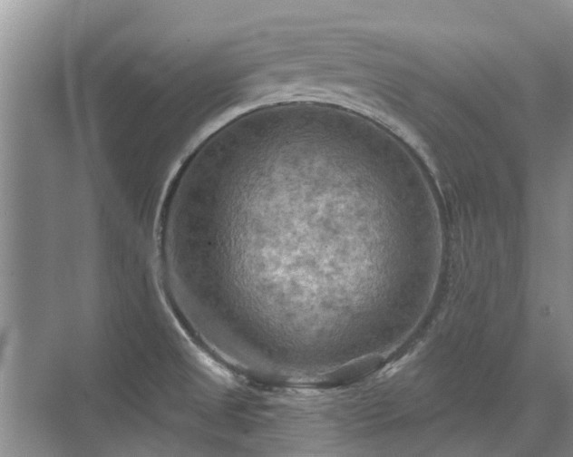 X0000075831525200609151225