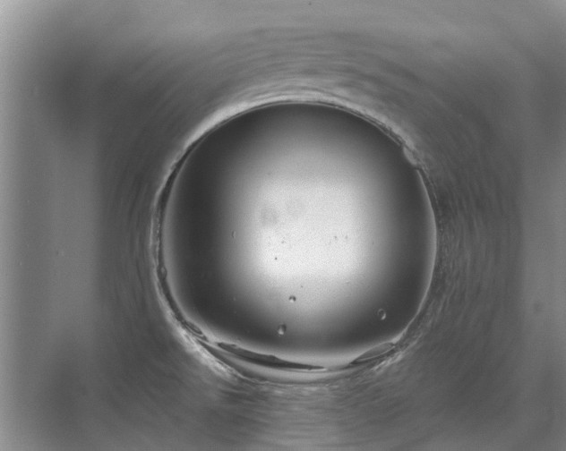 X0000075831526200609151225