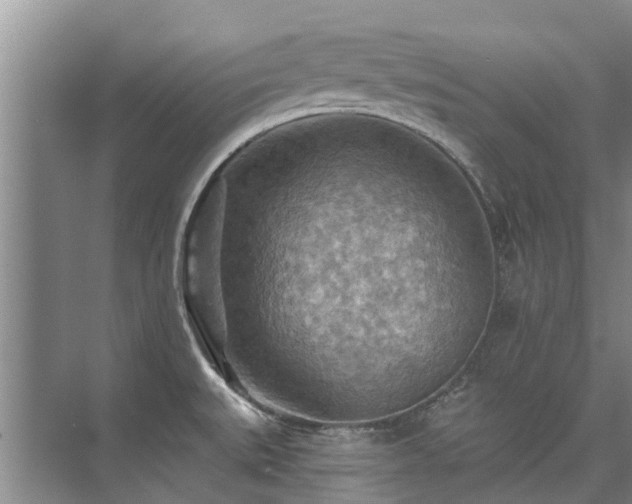 X0000075831527200609151225