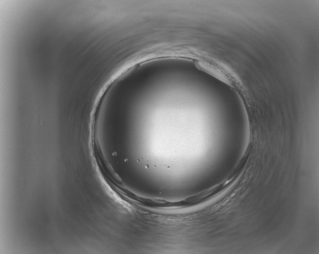 X0000075831528200609151225