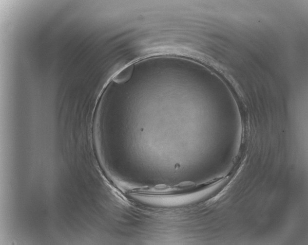 X0000075831529200609151225