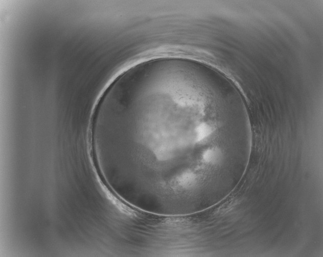 X0000075831531200609151225