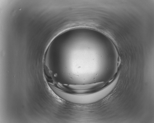 X0000075831532200609151225