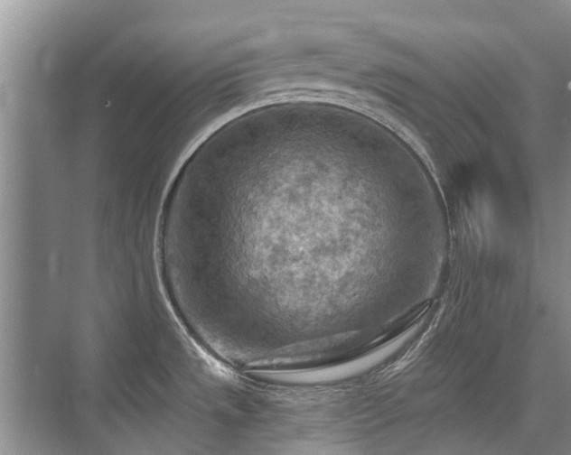 X0000075831533200609151225