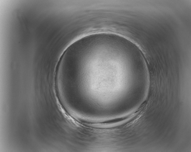 X0000075831534200609151225