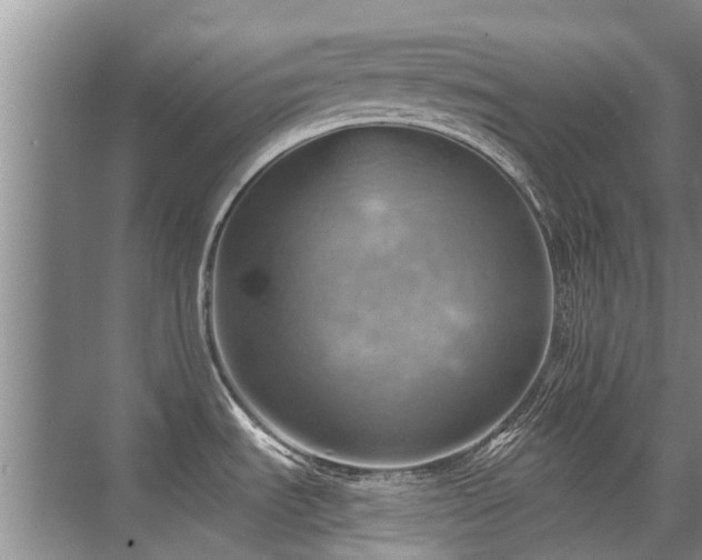 X0000075831535200609151225