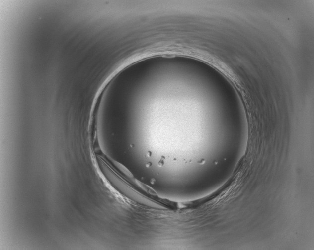 X0000075831536200609151225