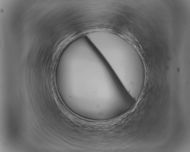 X0000075830001200609221651