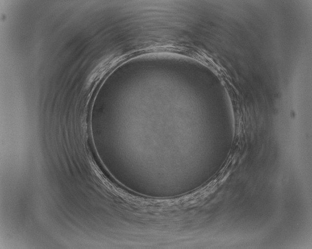 X0000075830002200609221651