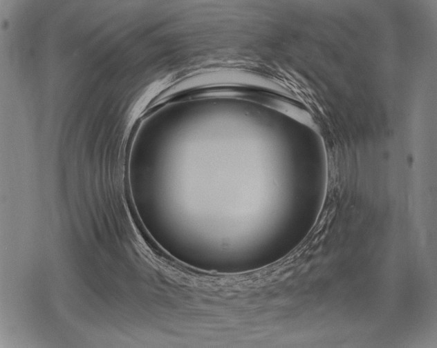 X0000075830003200609221651