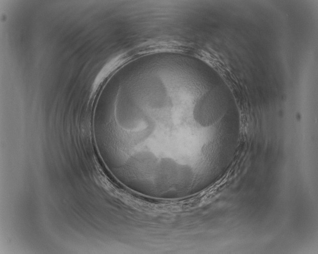 X0000075830004200609221651