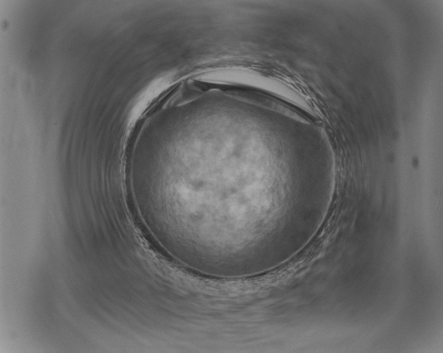 X0000075830006200609221651