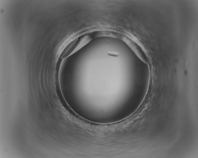 X0000075830007200609221651