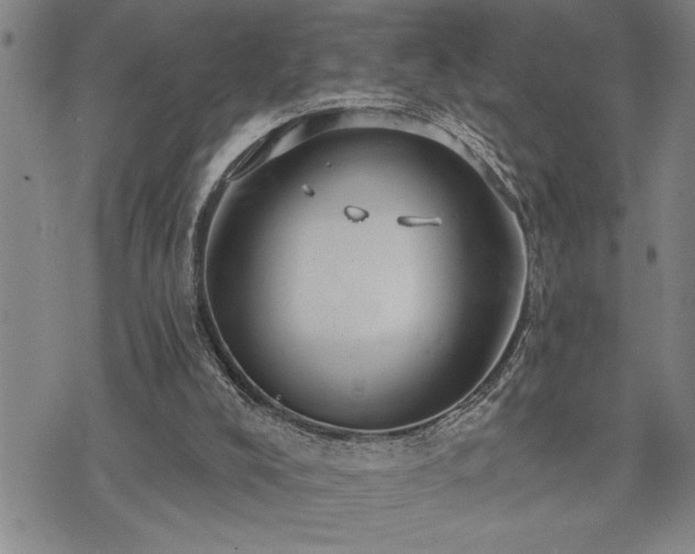 X0000075830008200609221651