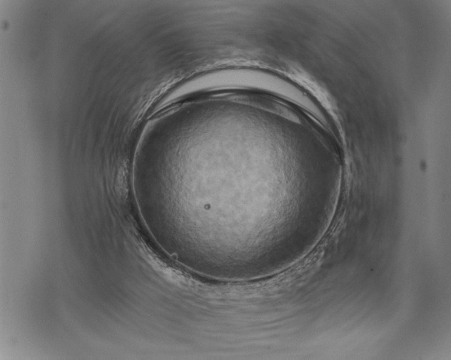 X0000075830009200609221651