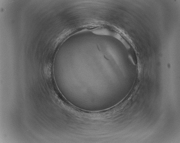 X0000075830010200609221651