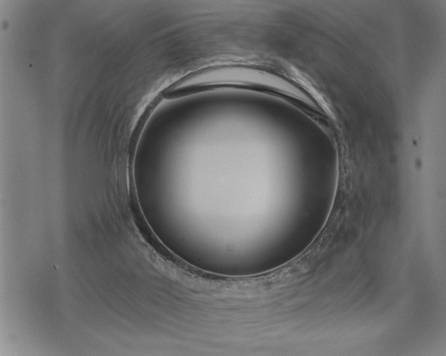 X0000075830011200609221651