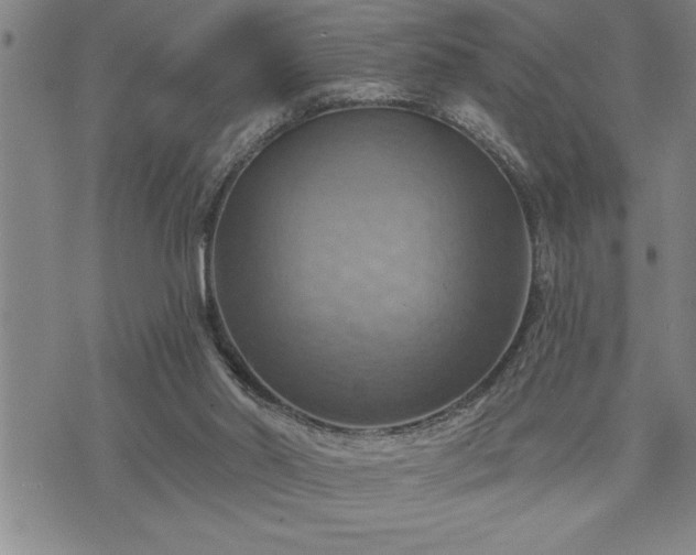 X0000075830014200609221651