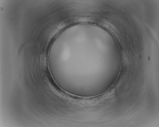 X0000075830016200609221651