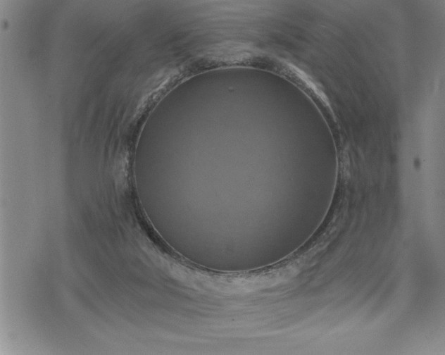 X0000075830018200609221651