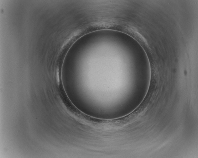 X0000075830020200609221651