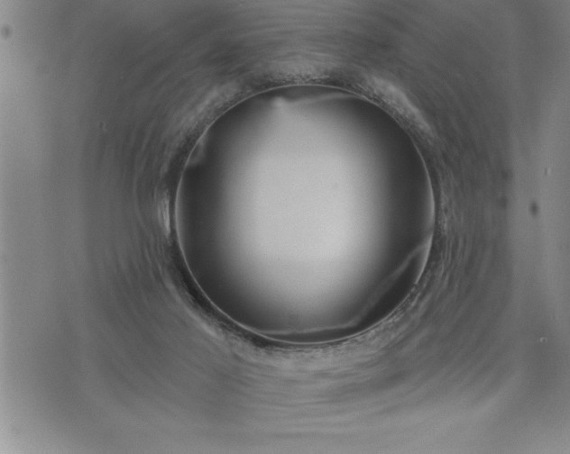 X0000075830021200609221651