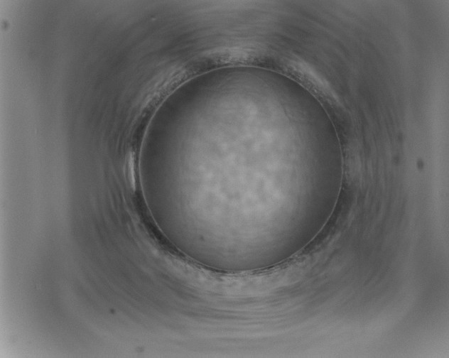 X0000075830022200609221651