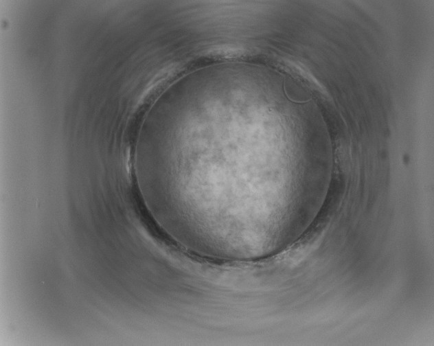 X0000075830024200609221651