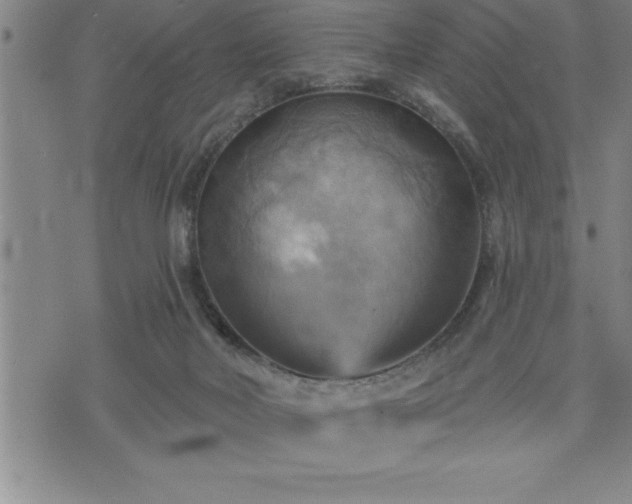 X0000075830026200609221651