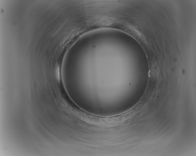 X0000075830027200609221651