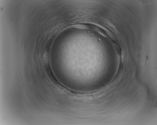 X0000075830029200609221651