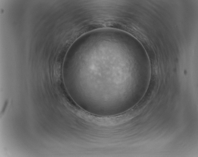 X0000075830030200609221651